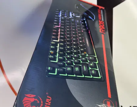 Clavier + Souris Sans Fil Gaming RAIKU R905